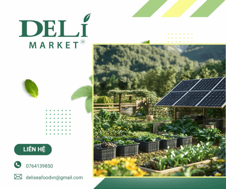 Nông nghiệp bền vững là gì ? Lợi ích của nông nghiệp bền vững xanh?