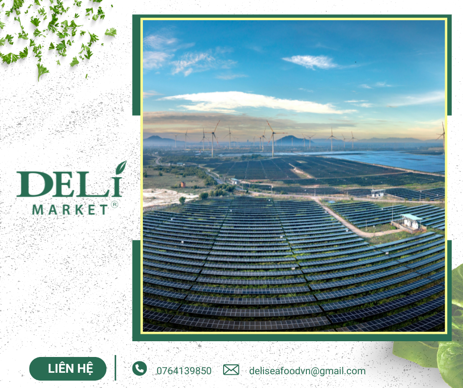 Nguồn: Tài nguyên tại Delimaret