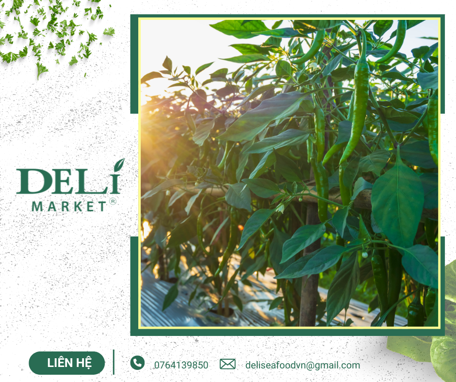 Nguồn: Tài nguyên tại Delimarket