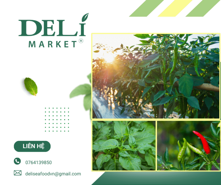 Các bệnh thường gặp trên cây ớt và cách phòng trừ hiệu quả