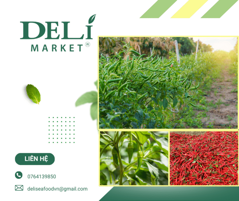 Ớt tươi đạt chuẩn phân phối toàn quốc từ Delimarket