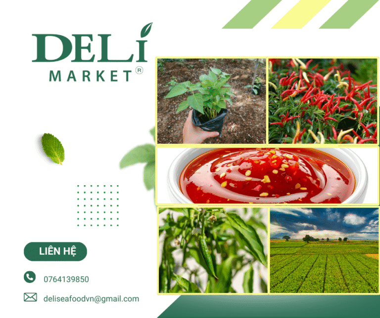 Chuẩn bị vùng trồng ớt đạt đủ tiêu chí phục vụ xuất khẩu