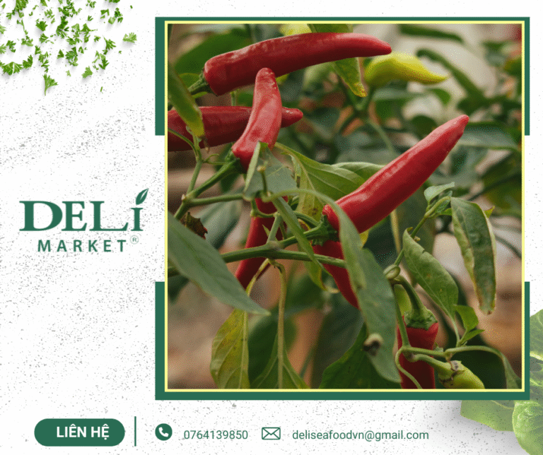 Cung ứng ớt đạt tiêu chuẩn xuất khẩu Delimaket