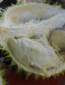 Cà Phê Sầu Riêng Rang Xay — Gói 500g